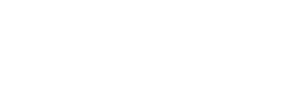 website logo white
